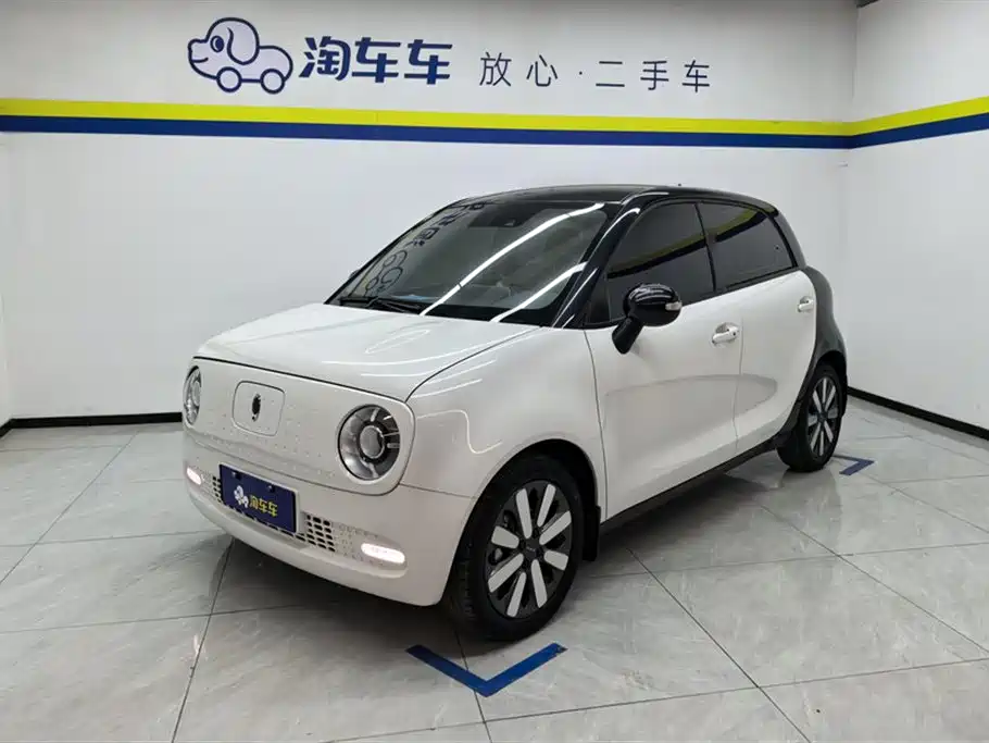 EULER BLACK CAT 2020