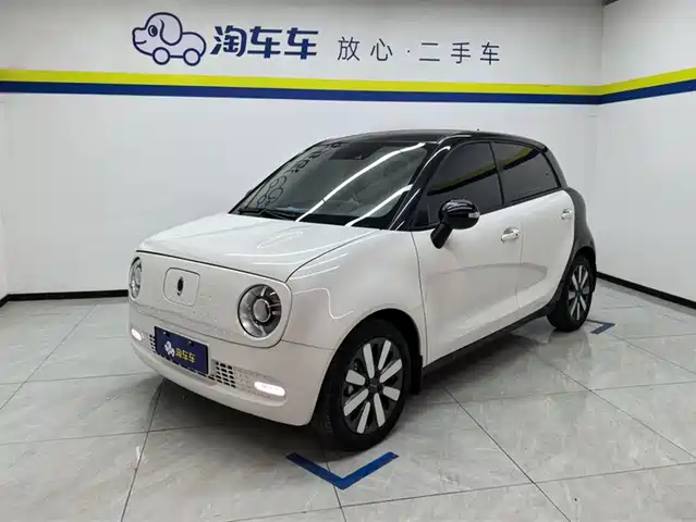 EULER BLACK CAT 2020