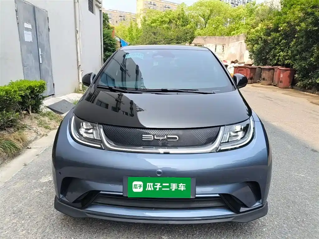 BYD Dolphin 2023 401km Knight Edition фото 3