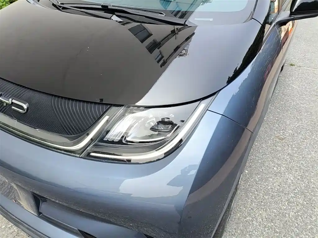 BYD Dolphin 2023 401km Knight Edition фото 24