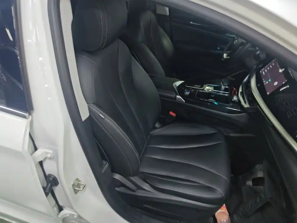 Geely Borui PHEV 2021 2021 1.5T ePro Leading Edition
