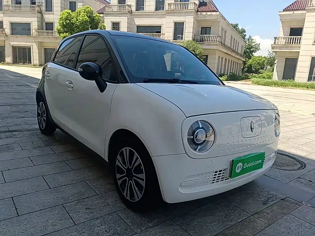 Ora Black Cat 2022 2022 Facelift 301km Pet Edition LFP Version