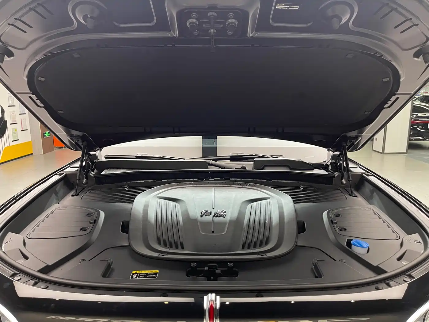 Hongqi E-HS9 2022 660km Qi Chang Edition (6-seater) фото 29
