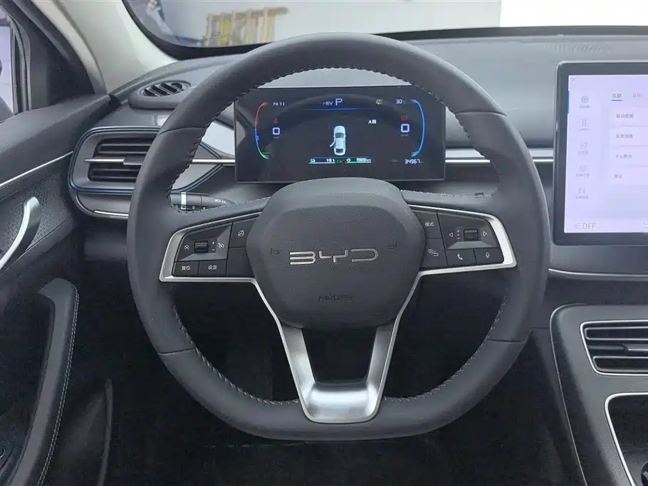 BYD Destroyer 05 2024 Glory Edition DM-i 55KM Luxury фото 15