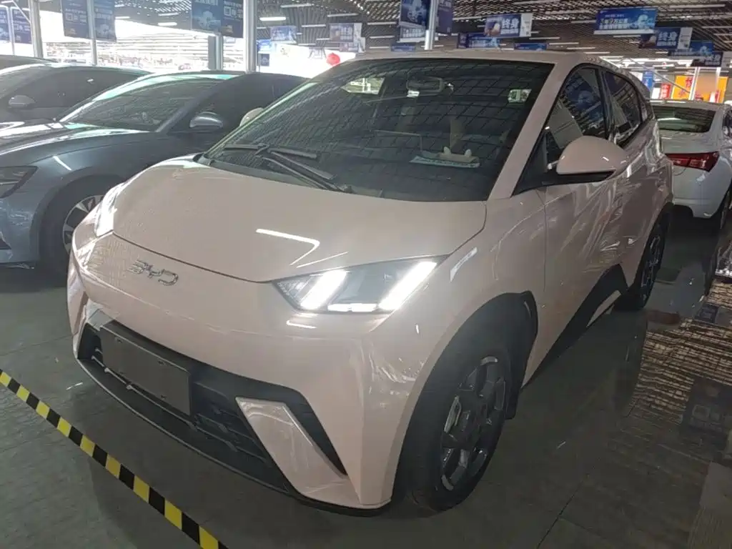 BYD Seagull 2024