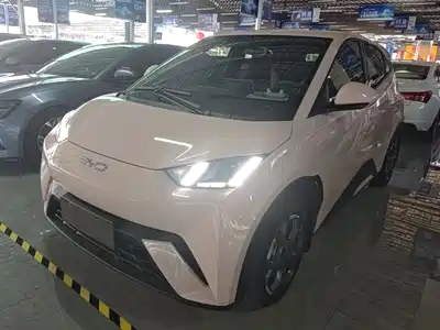 BYD Seagull