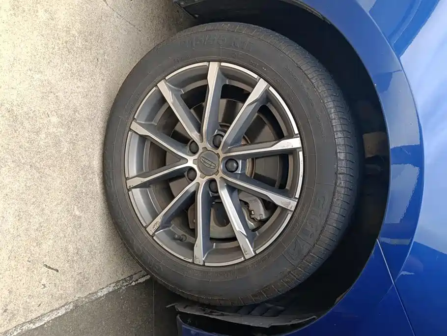 Фото 6 - Geely Borui