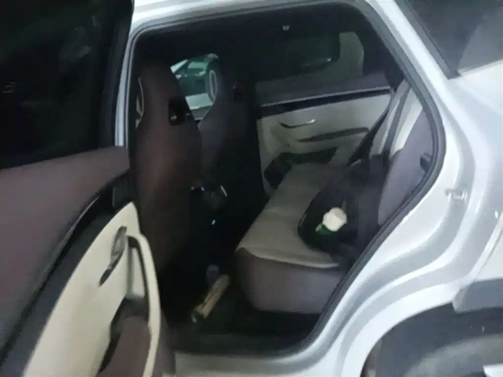 BYD Song PLUS PHEV 2025 EV Smart Driving Edition 520km Luxury фото 17