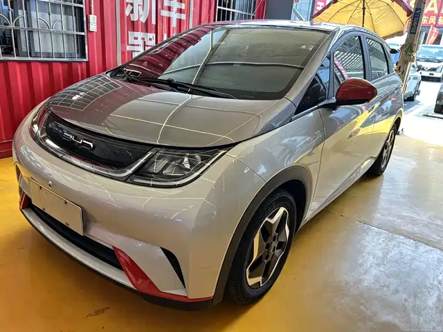 BYD Dolphin 405km, Стиль