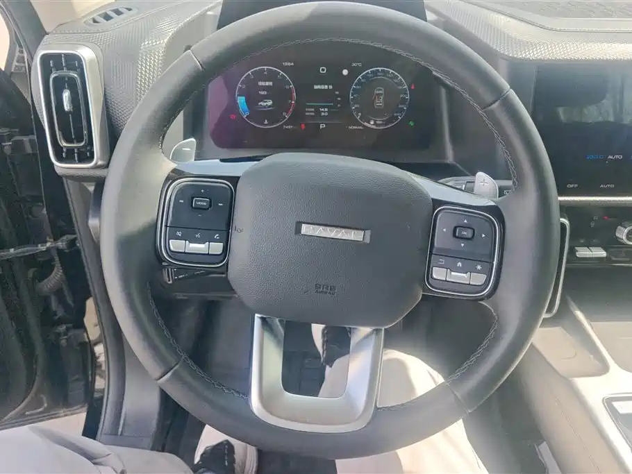 Haval Big Dog 2024 1.5T DCT Border Collie Edition фото 15