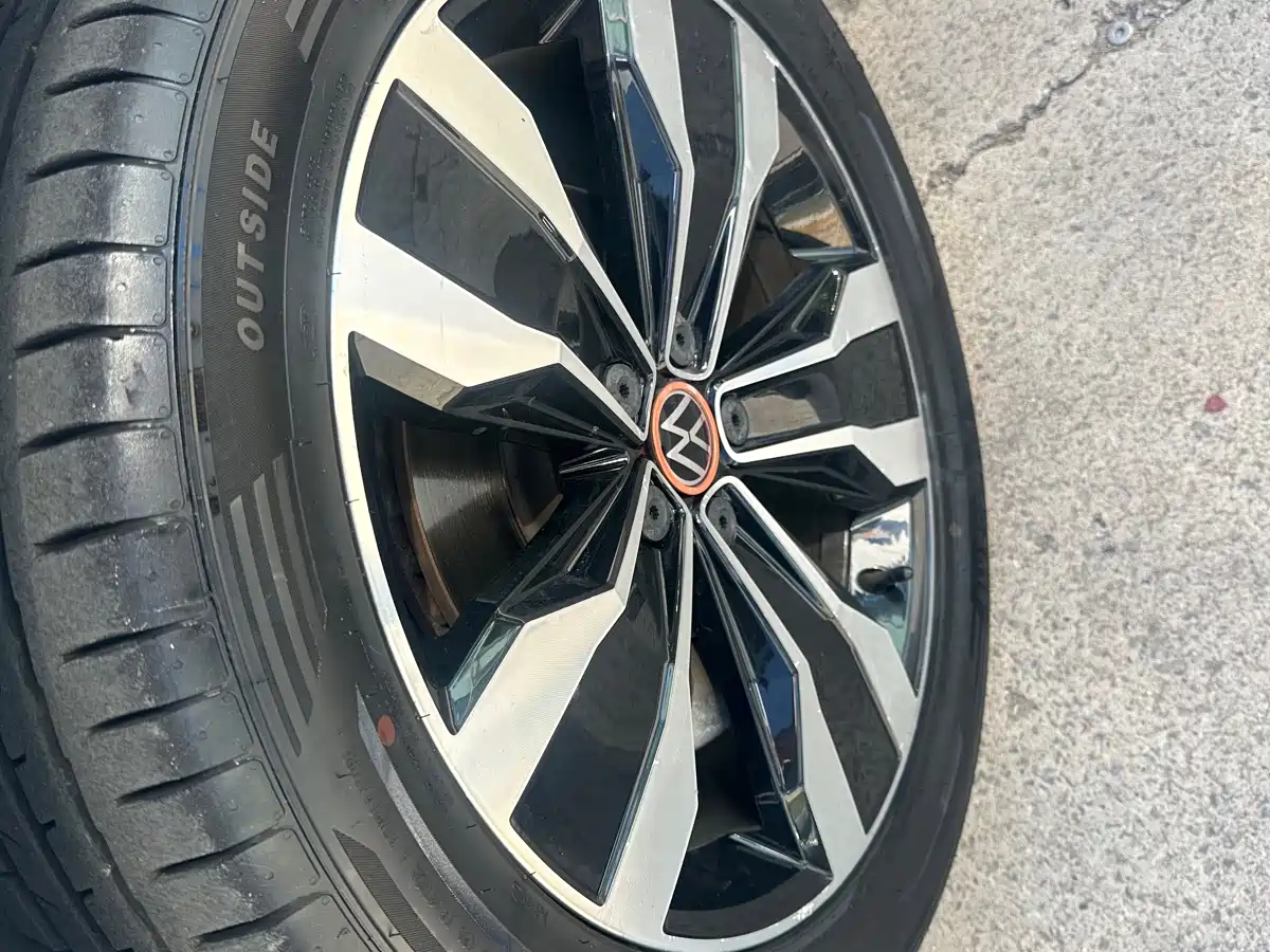 Volkswagen Tiguan L 2021 330TSI Automatic 2WD R-Line Premium фото 6