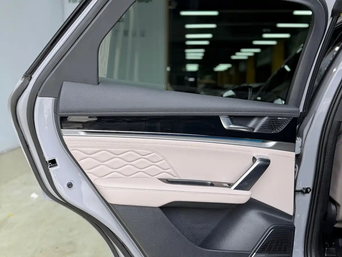 BYD Tang New Energy 2025 DM-i 115KM Premium фото 17