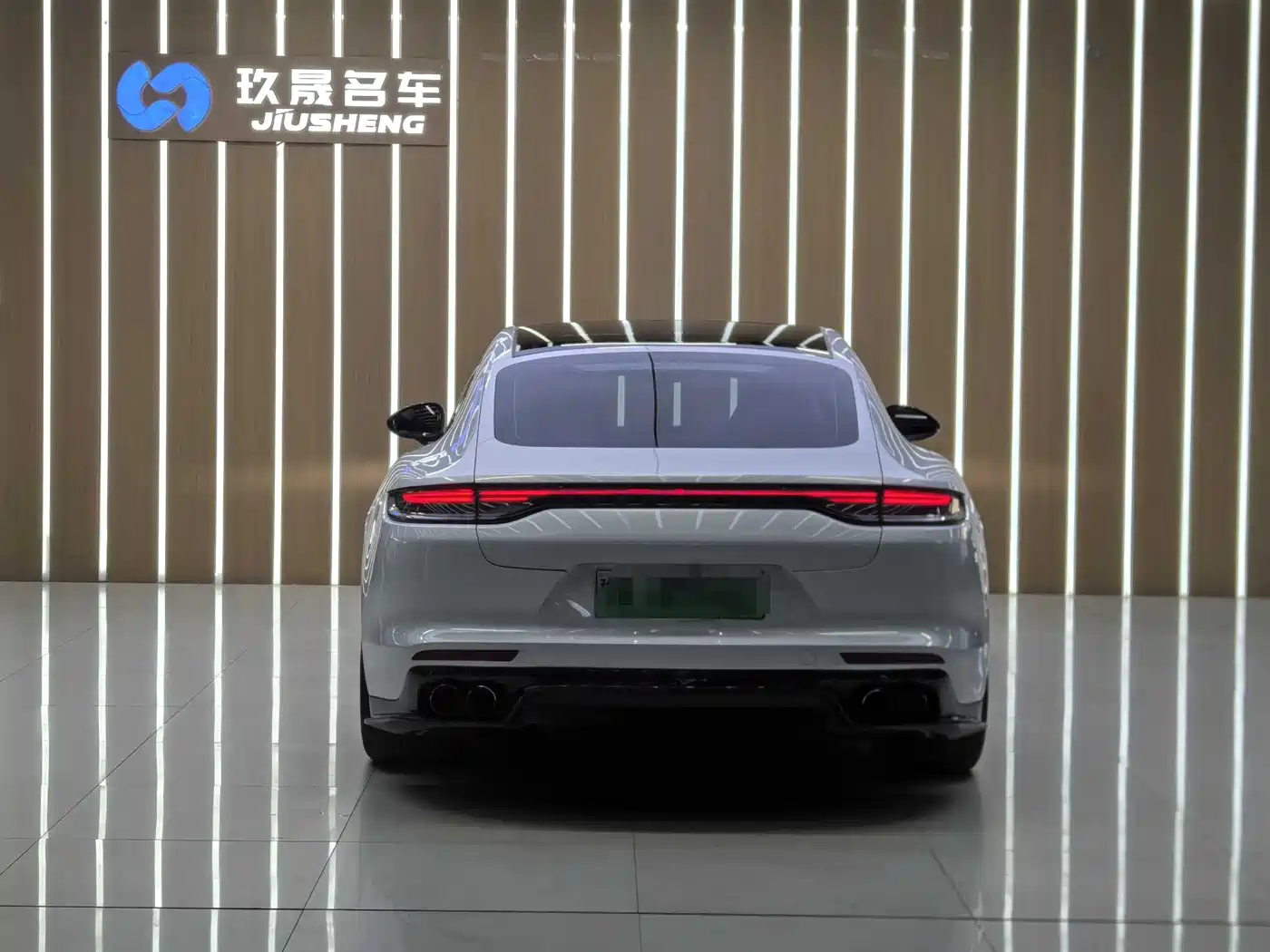 PORSCHE PANAMERA NEW ENERGY