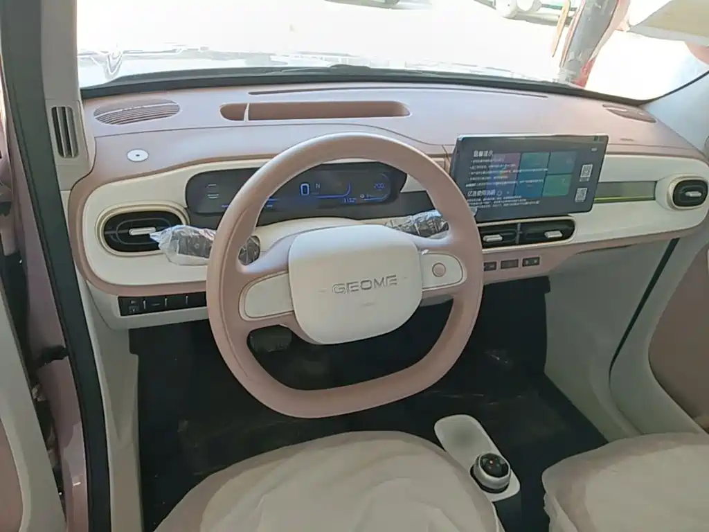 Geely Galaxy Panda 2026 2025 Panda mini 210km Vitality Bear
