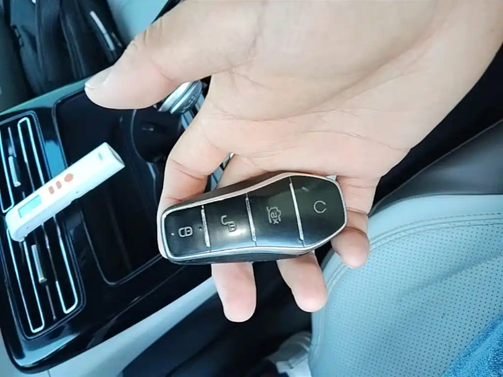 BYD Qin PLUS 2023 Champion Edition DM-i 55KM Leading фото 9