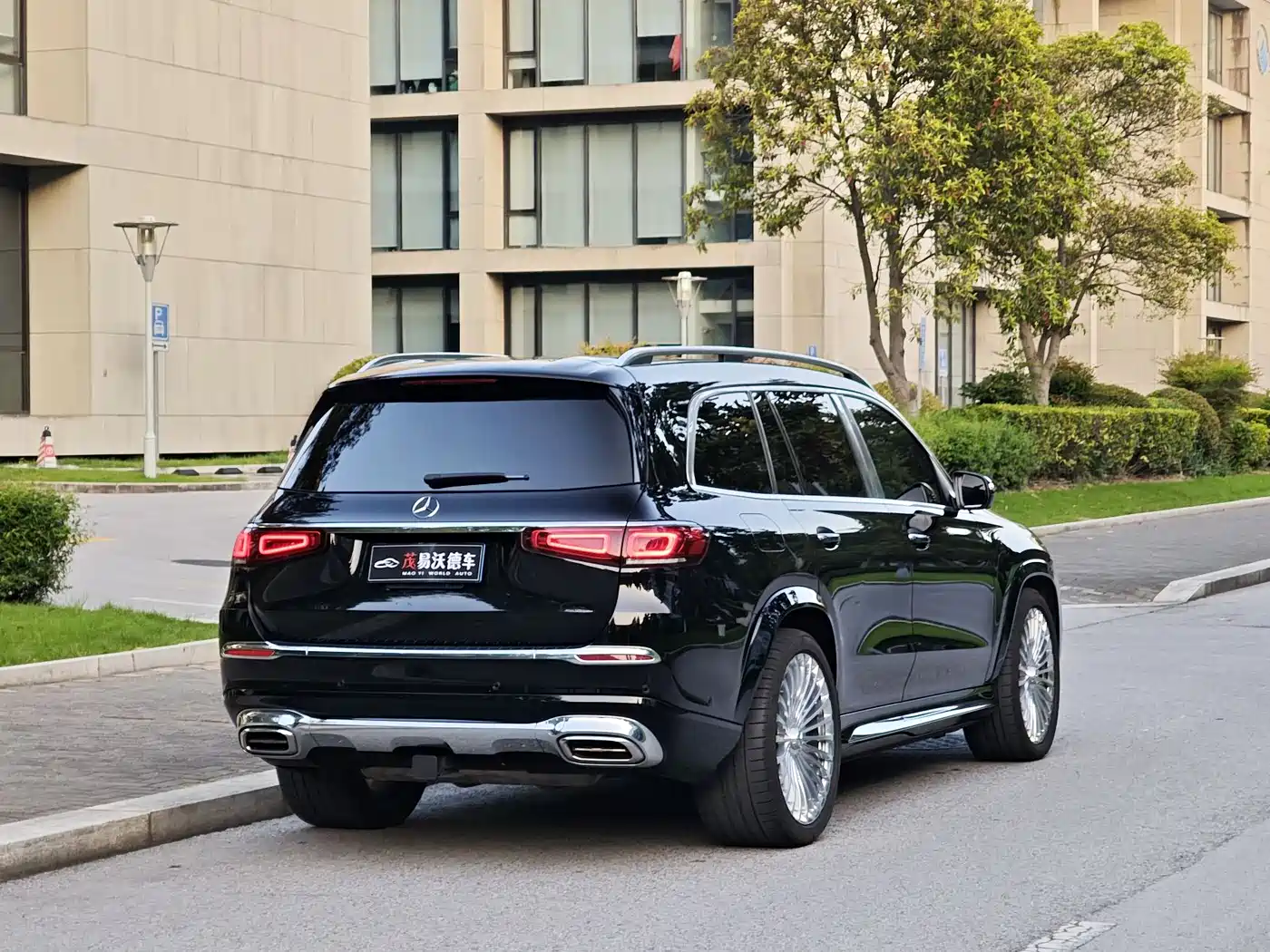 Mercedes-Benz Maybach GLS 2021 GLS 600 4MATIC Etiquette Edition фото 5