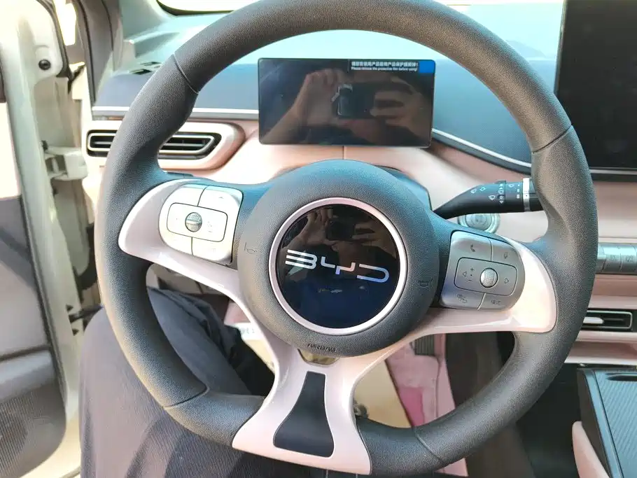 BYD Seagull 2023 2023 Vitality Edition