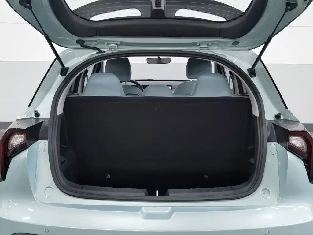 Geely Geometry E Firefly 2023 2024 Model 301km Starlight