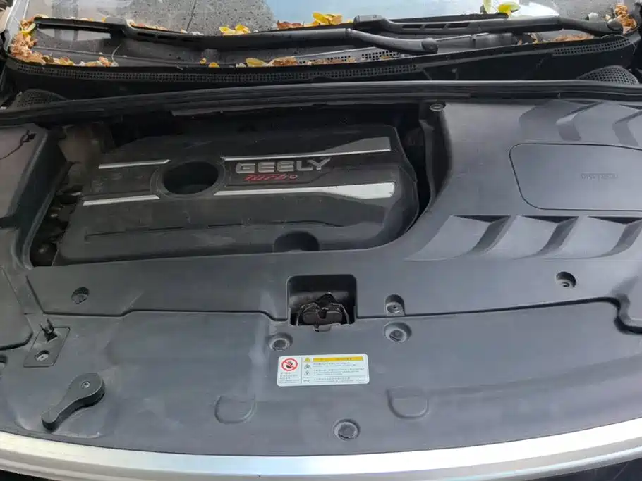 Photo 10 - Geely Emgrand GS