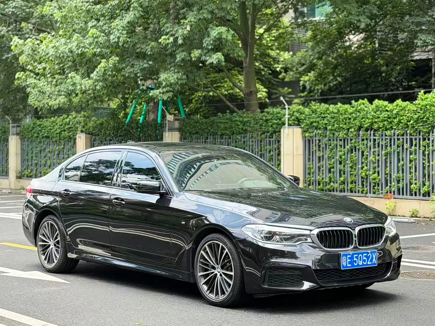 BMW 5 Series 2019 530Li Premium M Sport Package