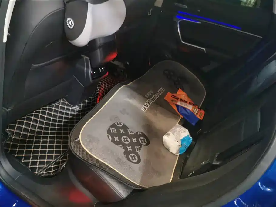 WEI PAI WEI BRAND VV5