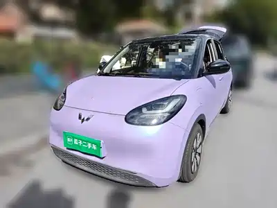 Wuling Bingo