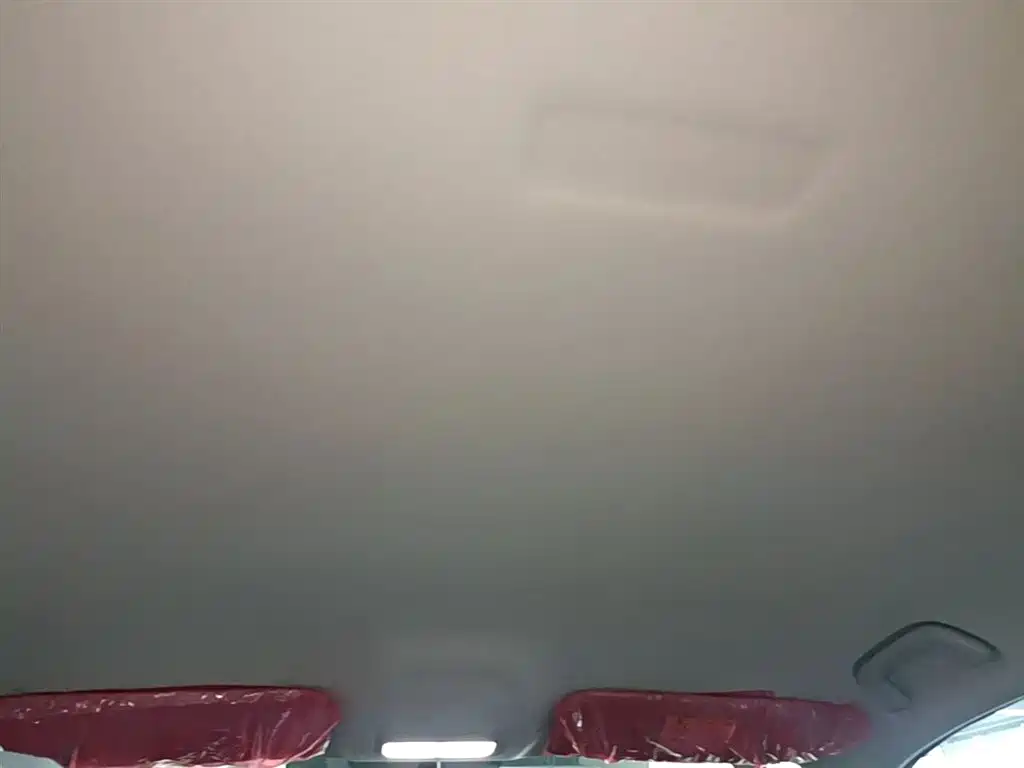 Geely Galaxy Starry Wish 2026 Edition Top Configuration фото 18