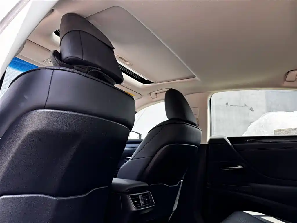 Lexus ES 2020 Model 300h Excellence Edition фото 6
