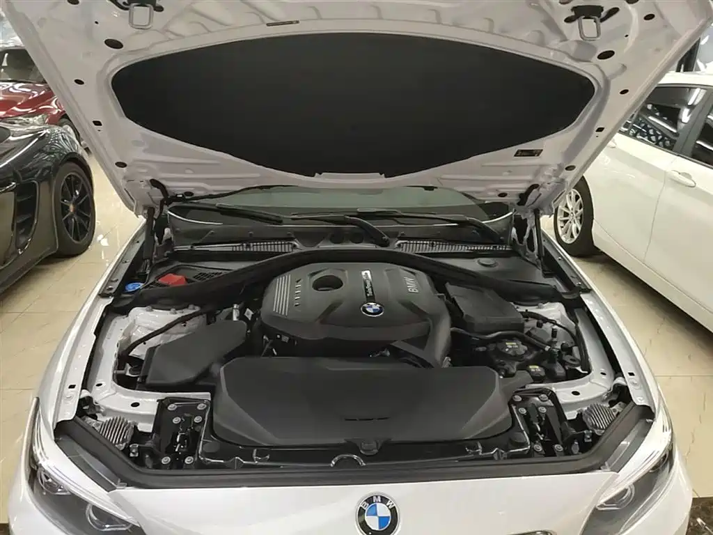 BMW 2 Series (Import) 2019 225i Sport Design Package фото 20
