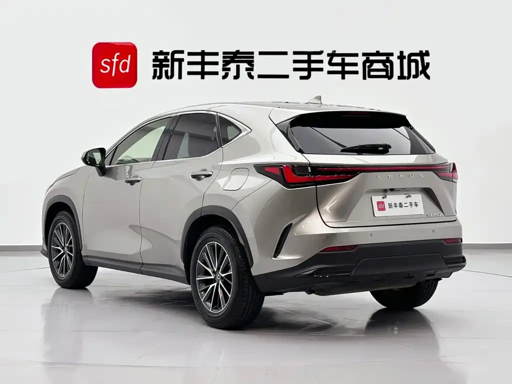 2024 Lexus NX