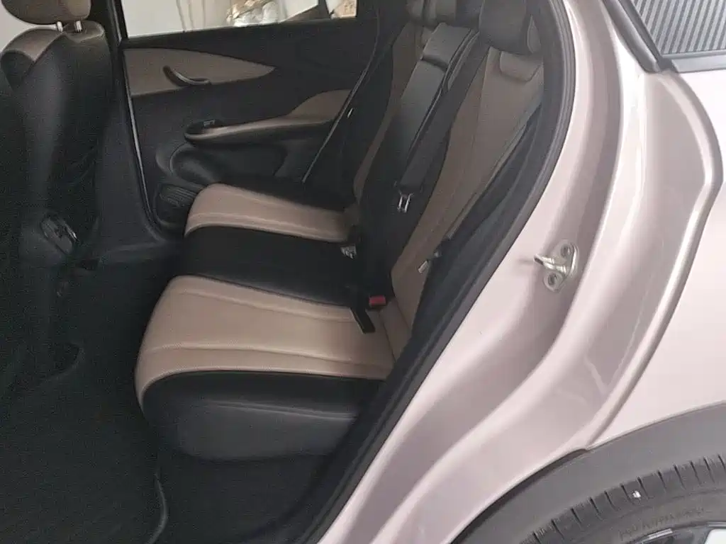 BYD Dolphin 2025 2025 Smart Drive Edition 410km Fashion Version
