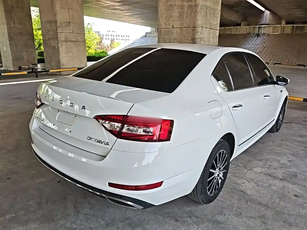 Škoda Octavia 2019 1.5L Automatic Smart Luxury China VI фото 7