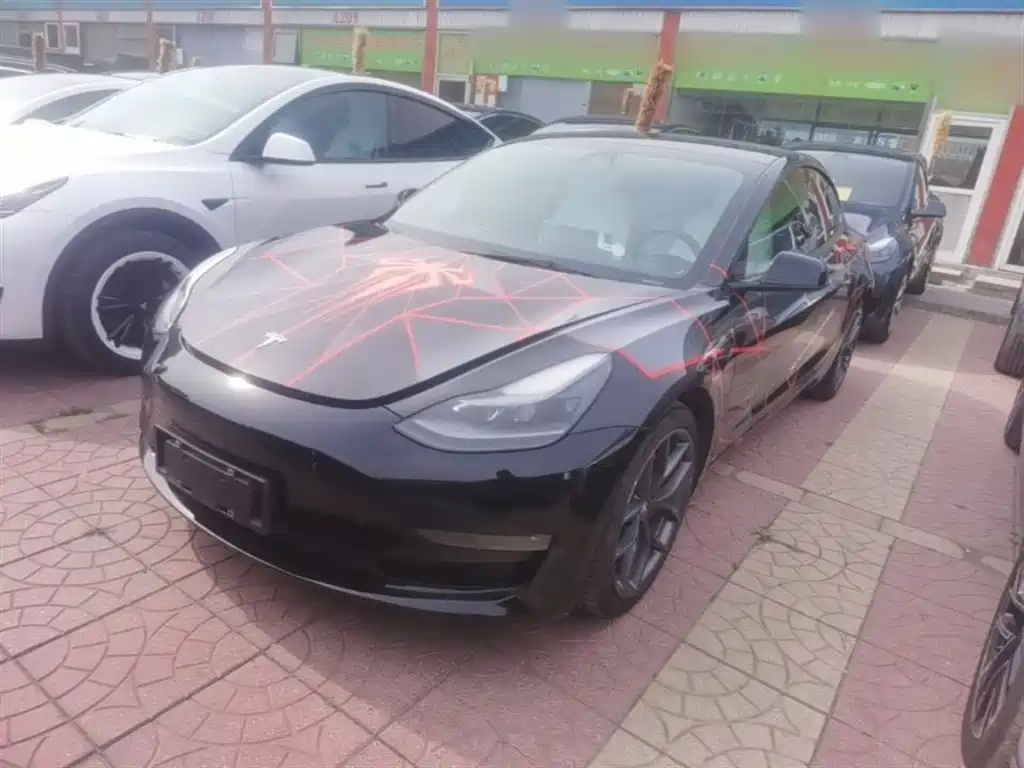Tesla Model 3 2021 Performance High-Performance All-Wheel Drive 3D6
