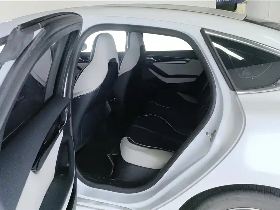 BYD Qin PLUS 2021 DM-i 55KM Flagship фото 11