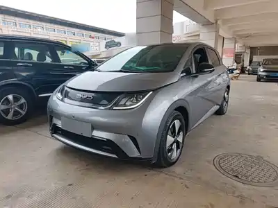 BYD Dolphin