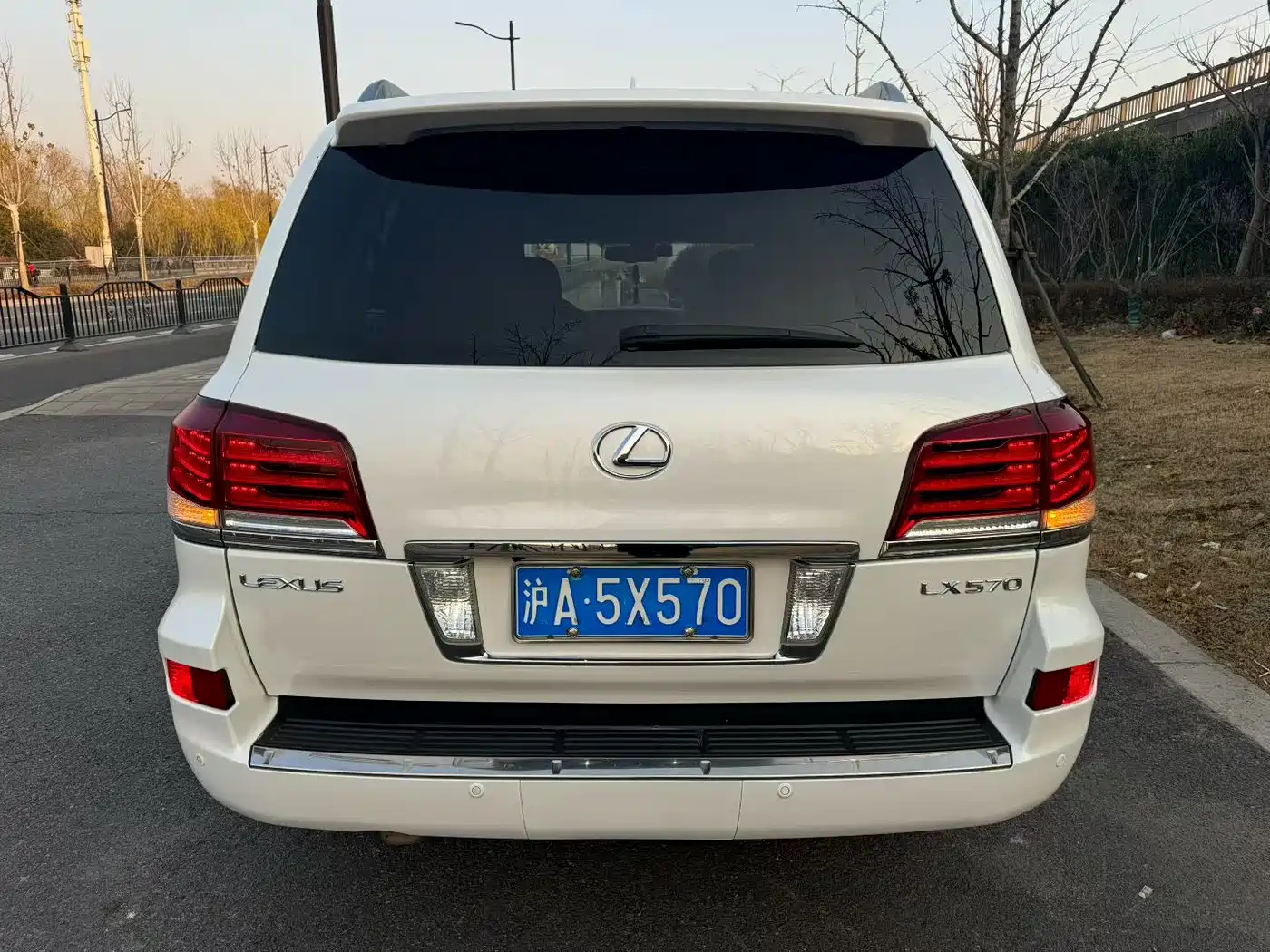 Lexus LX 2013 570 фото 6