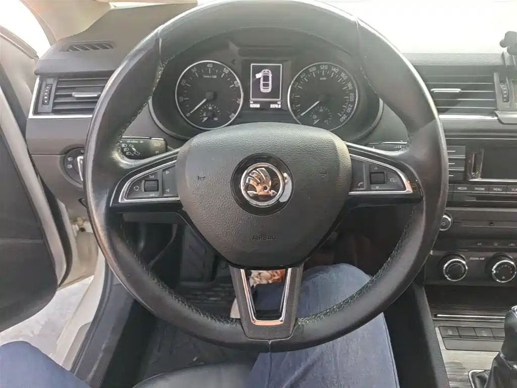 Škoda Octavia 2017 TSI280 DSG ZhiXing фото 11