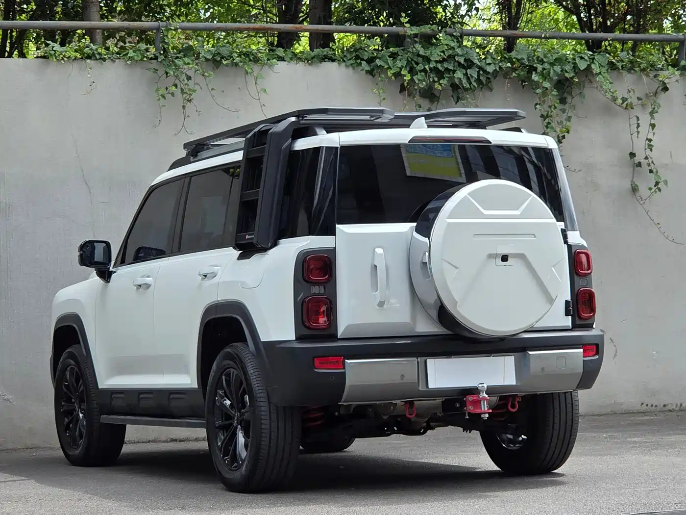 Haval Meng Long NEV 2024 Hi4 145 Cross-country Edition фото 6