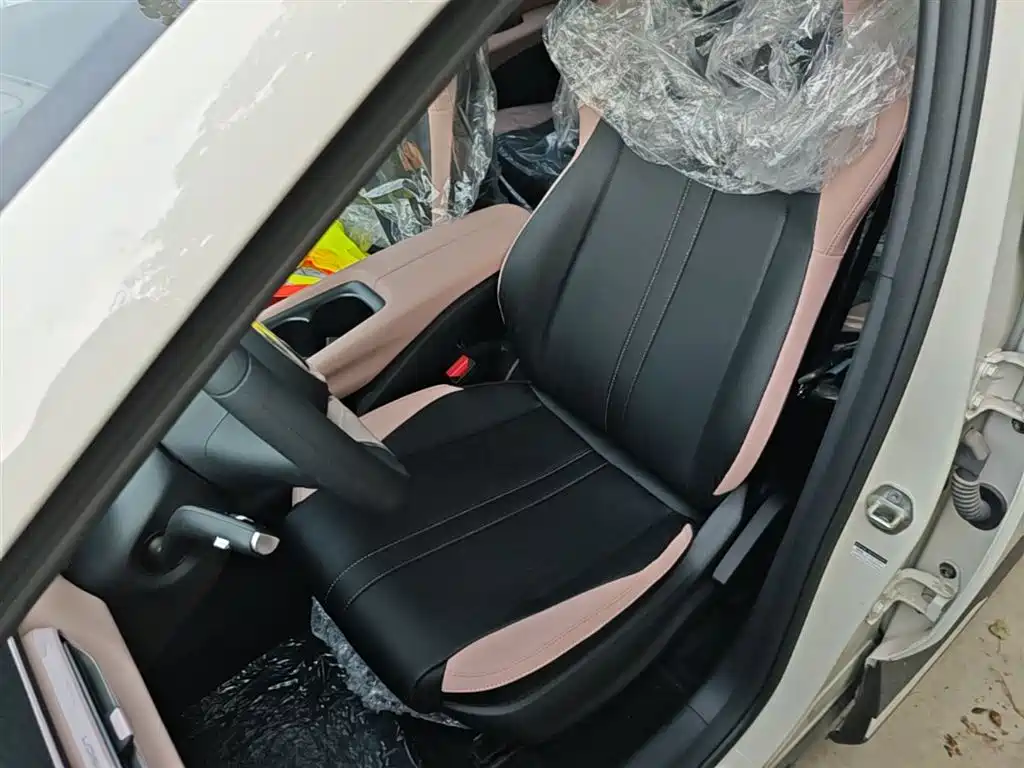 BYD Seagull 2025 Smart Drive Edition 305km Vitality Version фото 15