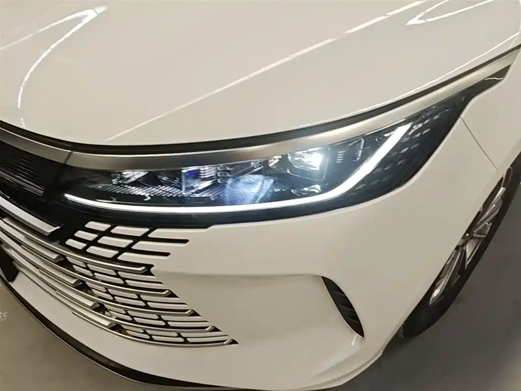 BYD Destroyer 05 2024 Glory Edition DM-i 55KM Luxury фото 24
