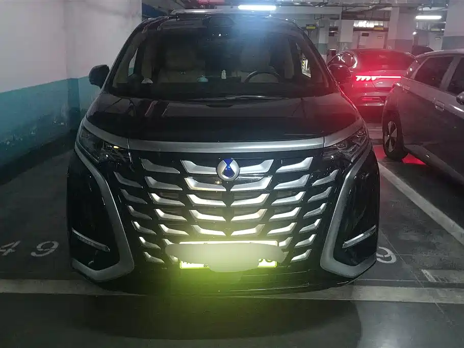 Denza D9 2025 DM-i Smart Driving Edition 1100 FWD Flagship фото 2