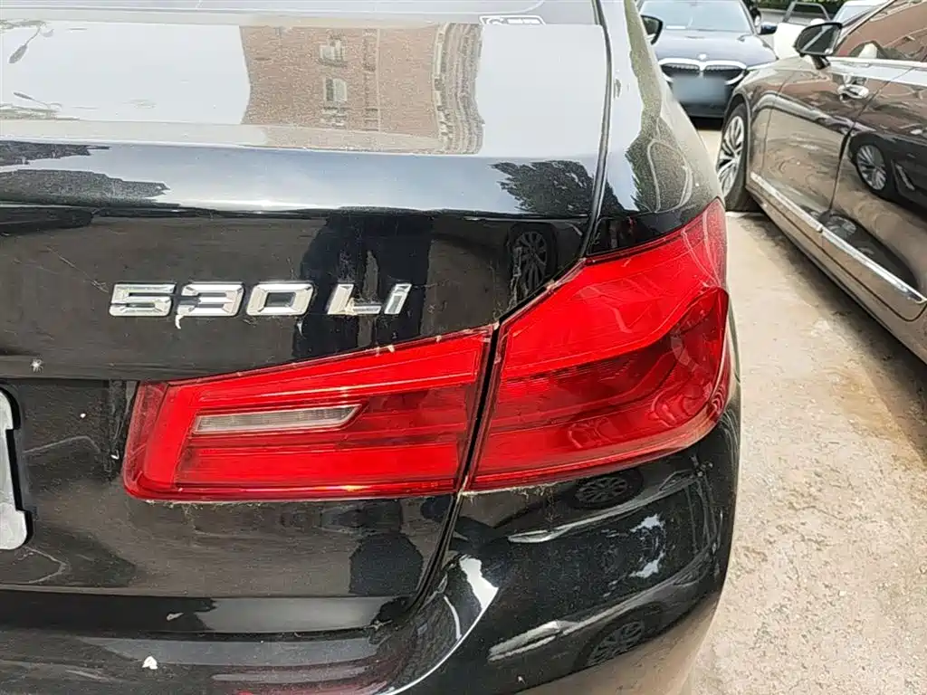 BMW 5 Series 2018 Facelift 530Li xDrive Luxury Package фото 7