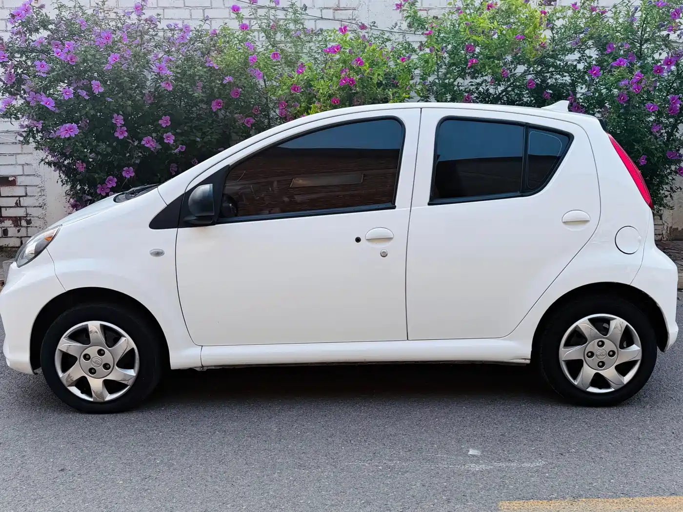 BYD e1 2019 2019 Advance Version