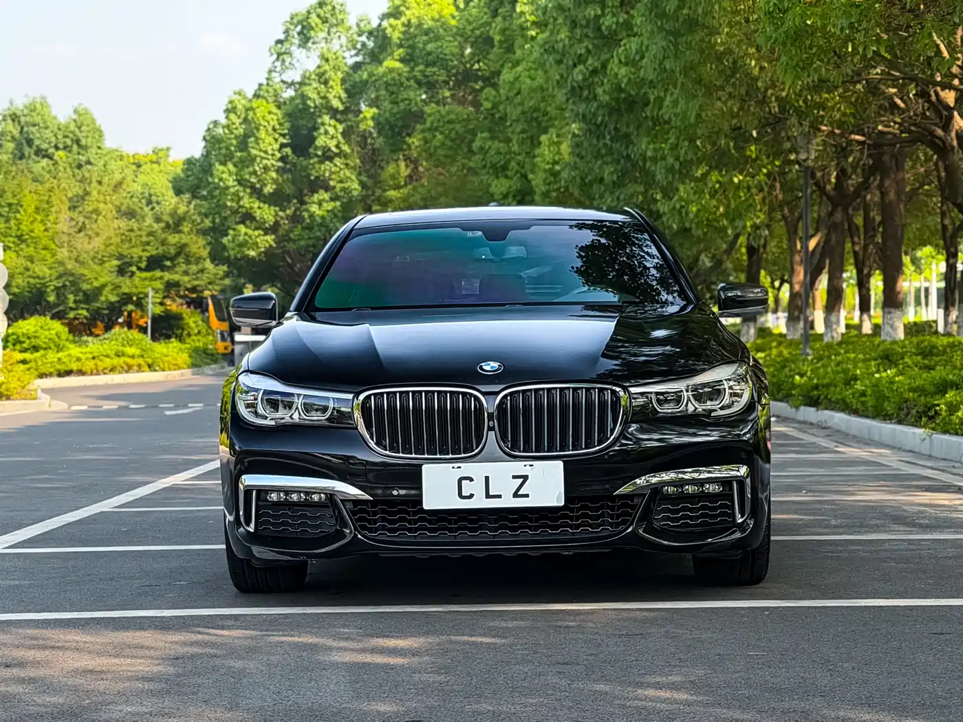 BMW 7 Series 2018 730Li Leading Type M Sport Package фото 2