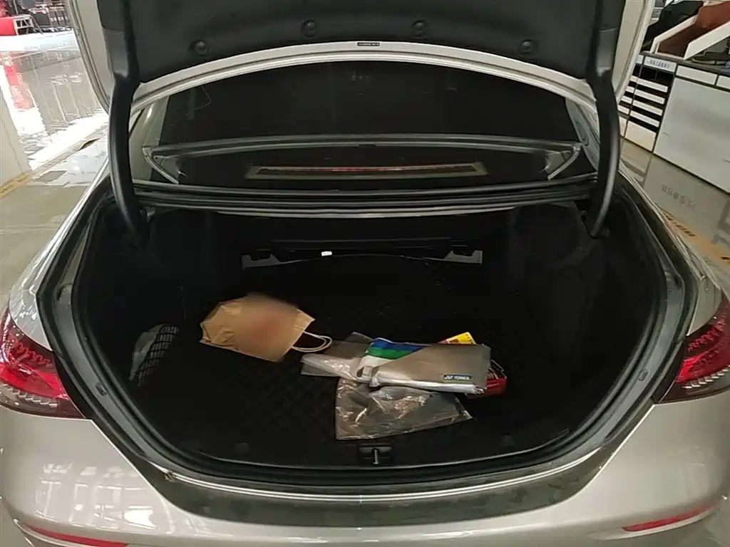 Mercedes-Benz E-Class 2021 E 300 L Luxury фото 19