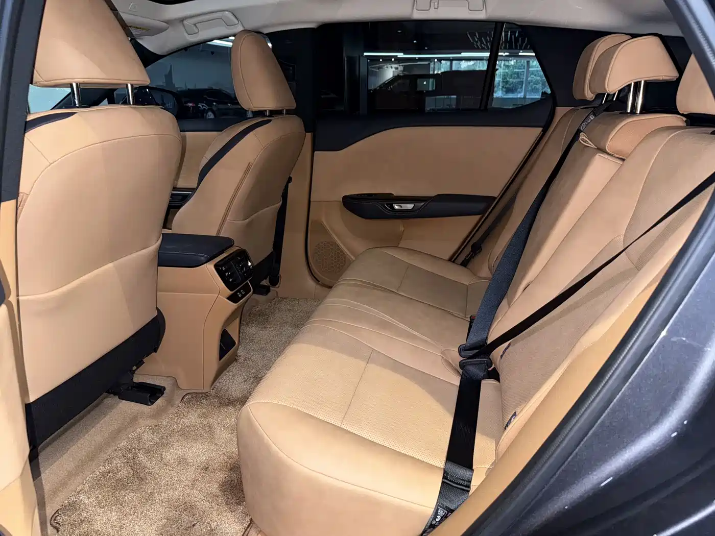 Lexus RZ 2023 450e 4WD Deluxe фото 12