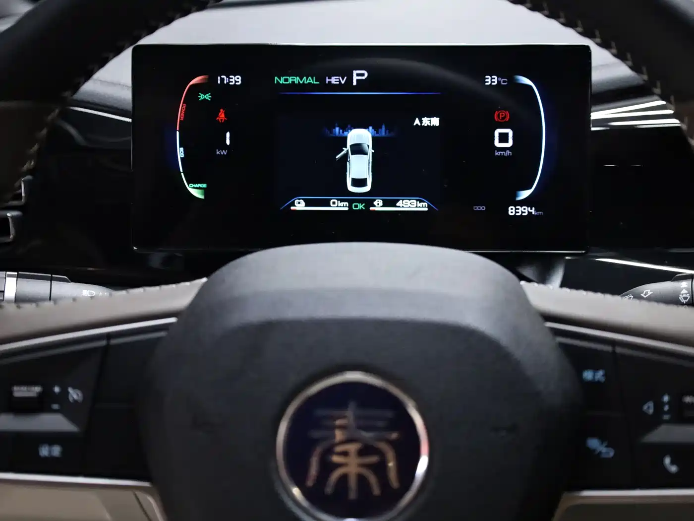 BYD Qin PLUS 2024 Glory Edition DM-i 55KM Leading фото 9