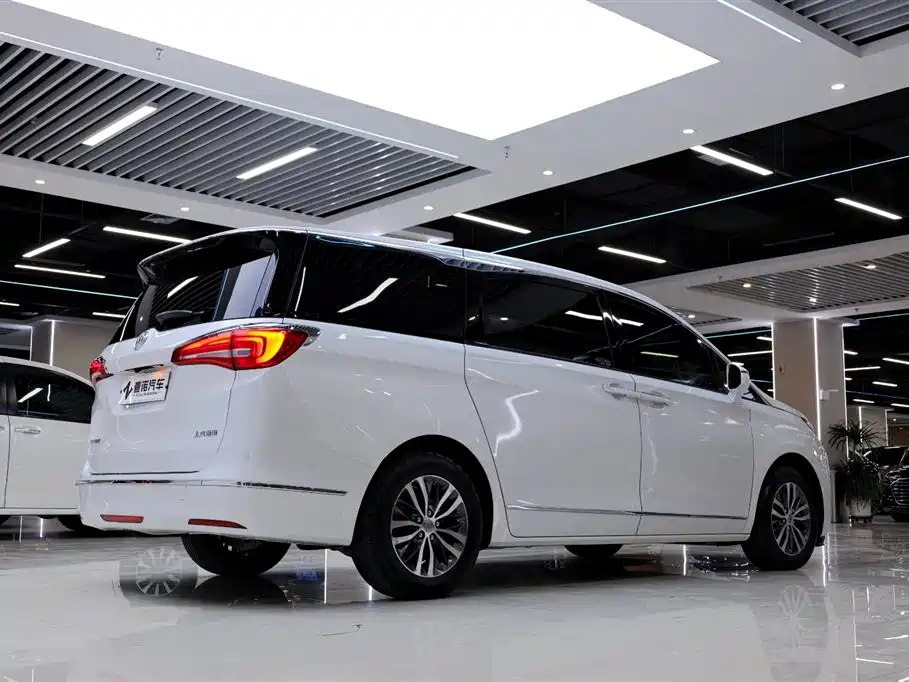 Buick GL8 2017 ES 28T Flagship China V фото 14