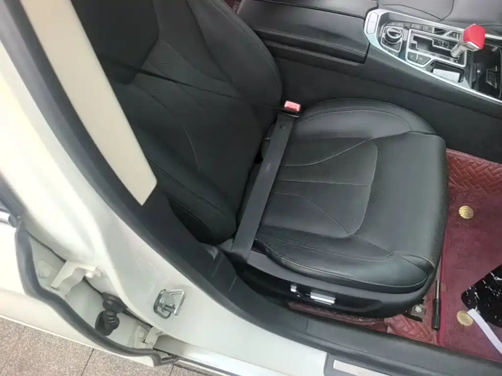 Фото 20 - Geely Borui