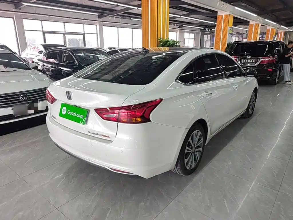 Changan Raeton CC 2018 2018 1.5T Auto Premium Class China V